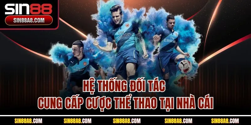 he-thong-doi-tac-cung-cap-cuoc-the-thao-tai-nha-cai